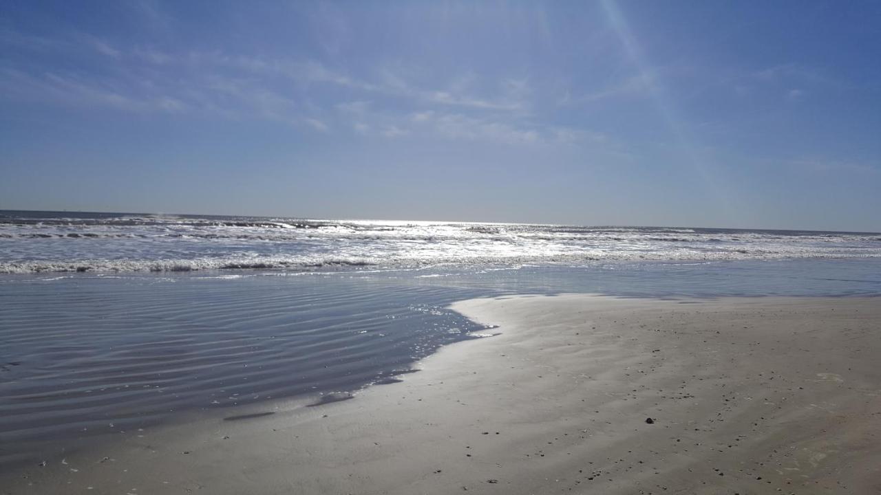 Private Beach -- Away From The Crowds - Ocean Views -Short Drive To Moody Gardens, Schlitter Bahn, Pleasure Pier Галвестън Екстериор снимка
